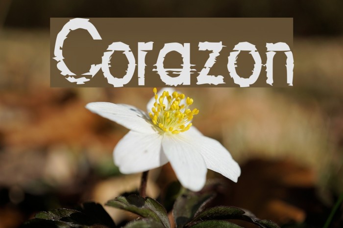 Corazon Example 3