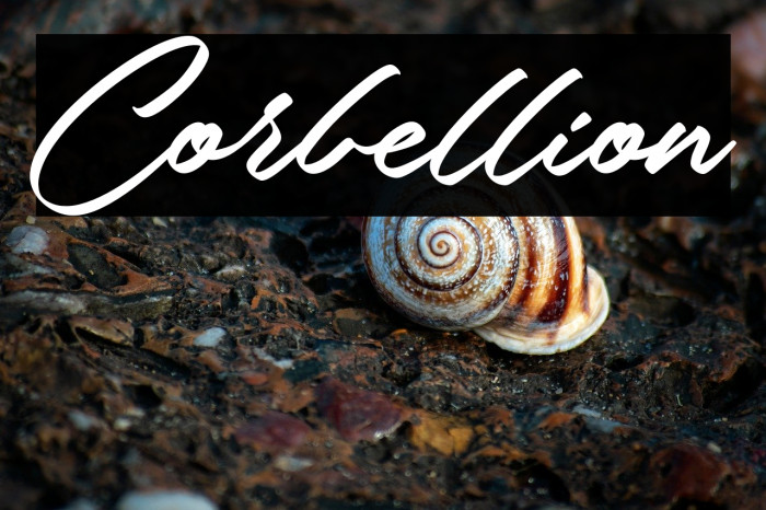 Corbellion Example 1