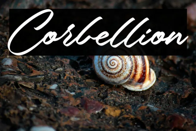 Corbellion Example 1