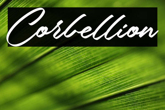 Corbellion Example 3