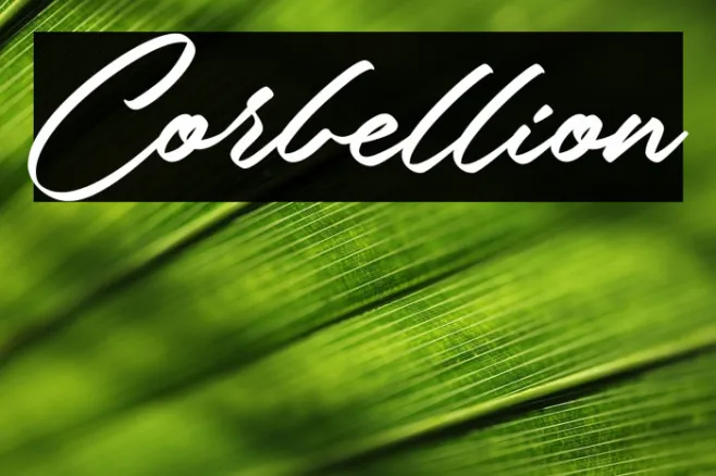 Corbellion Example 3