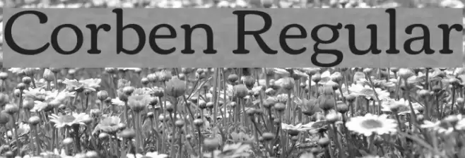 Corben Regular Font examples