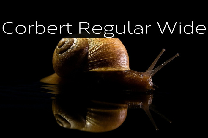 Corbert Regular Wide Example 1