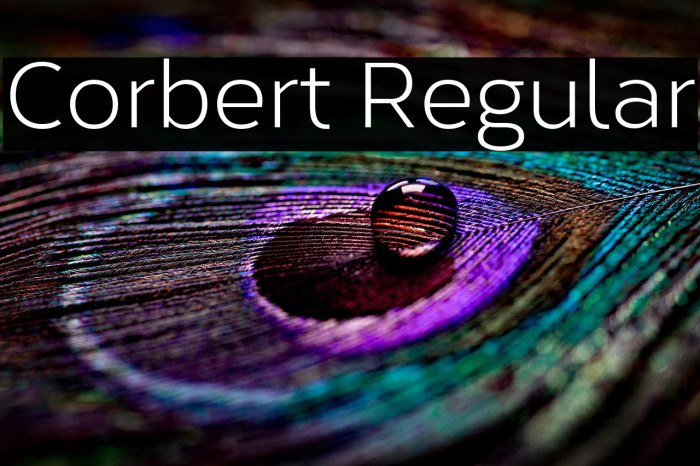 Corbert Regular Example 2