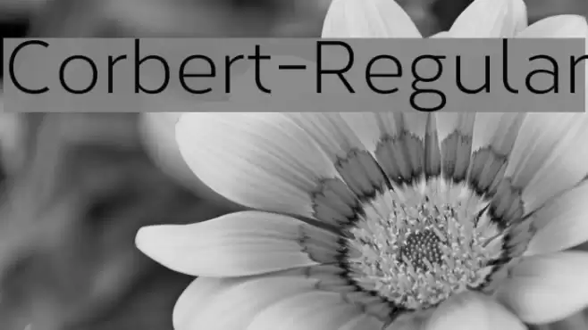 Corbert-Regular Font examples