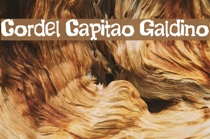 Cordel Capitao Galdino Example 1
