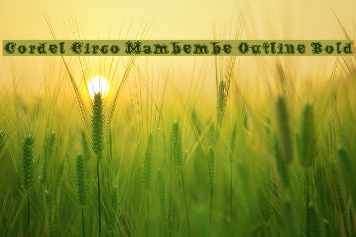 Cordel Circo Mambembe Outline Bold Font examples