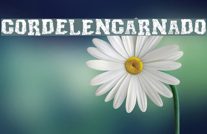 Cordel Encarnado Font examples