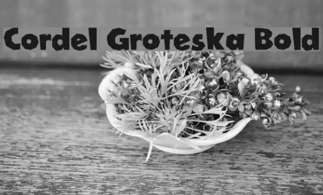 Cordel Groteska Bold Font examples
