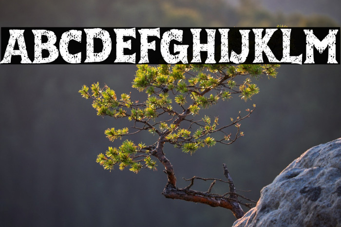 Cordel Rustika Example 3