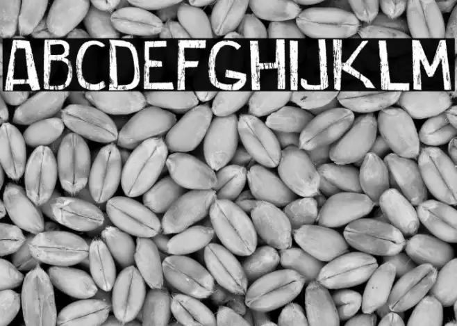 Cordelina Font examples