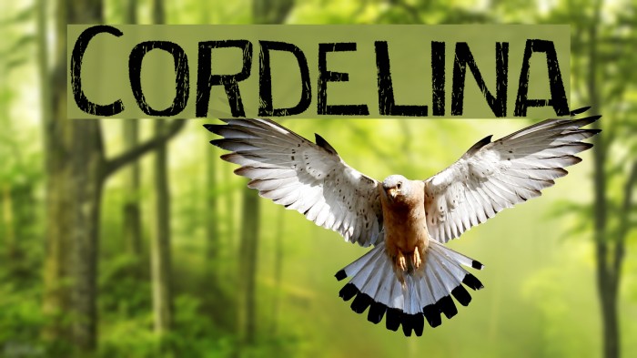 Cordelina Font examples