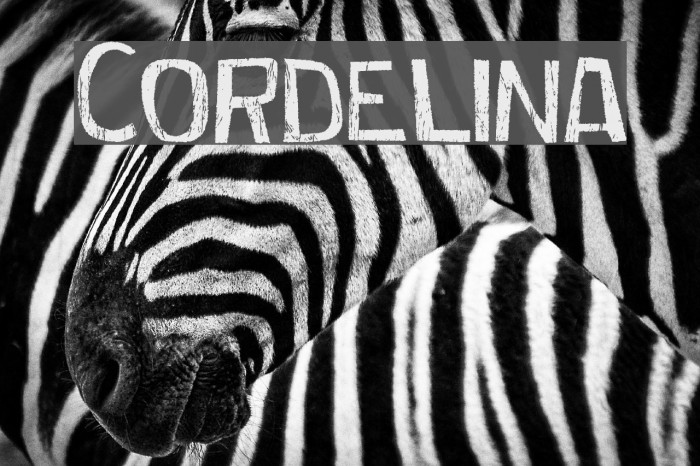 Cordelina Font examples