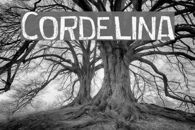 Cordelina Font examples