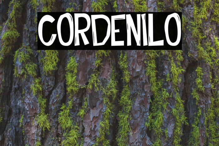 Cordenilo Caratteri examples