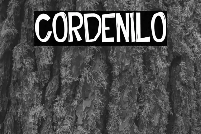 Cordenilo Font examples