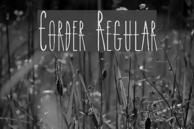 Corder Regular Font examples