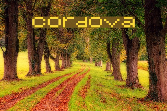 Cordova Font examples