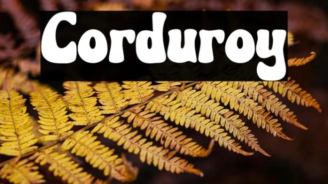 Corduroy Example 1