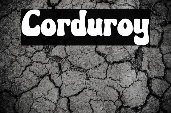 Corduroy Example 3