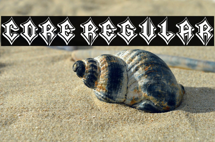 Core Regular Example 1