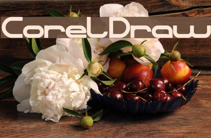 CorelDraw Font examples