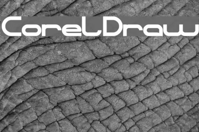 CorelDraw Font examples