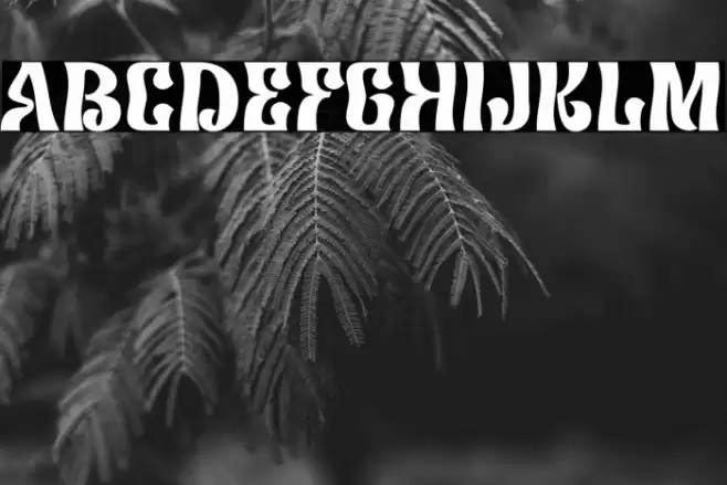 Corela Schriftart examples