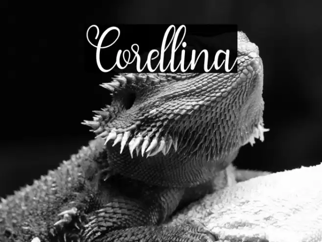 Corellina Font examples