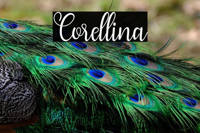 Corellina Example 3