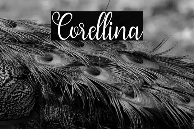 Corellina Font examples