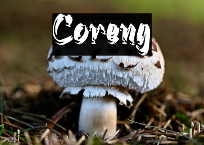 Coreng Example 2