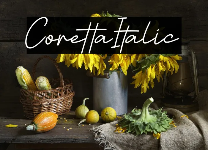 Coretta Italic Example 1