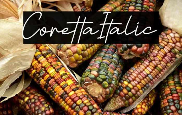 Coretta Italic Example 3