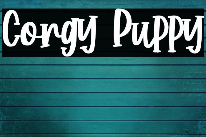 Corgy Puppy Fonte examples