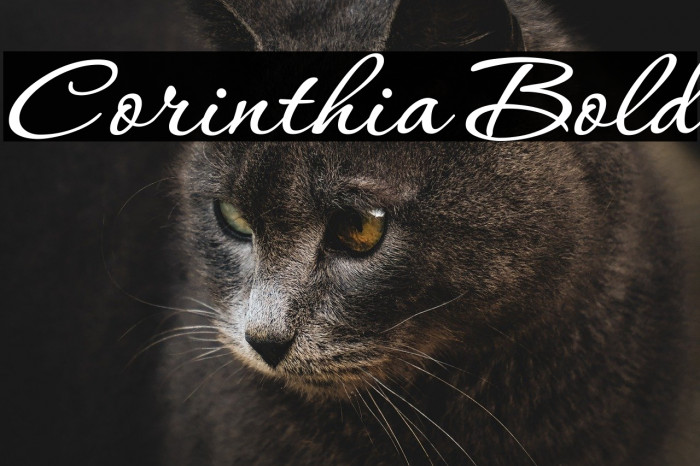Corinthia Bold Example 2