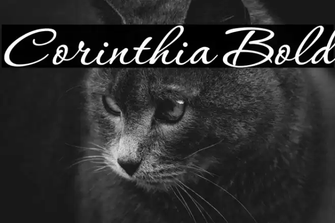 Corinthia Bold Font examples