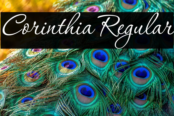 Corinthia Regular Example 1