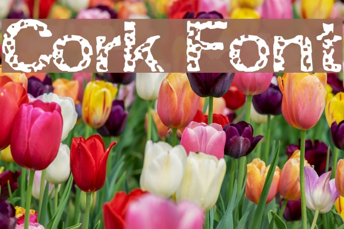Cork Font examples