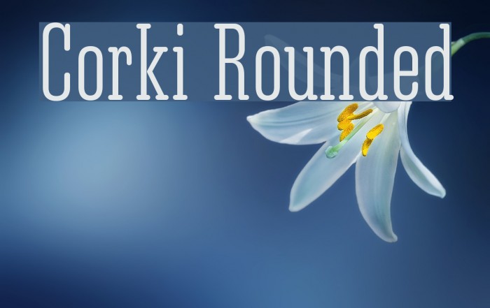 Corki Rounded Font examples