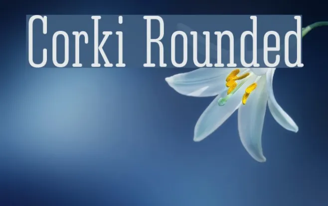 Corki Rounded Example 2