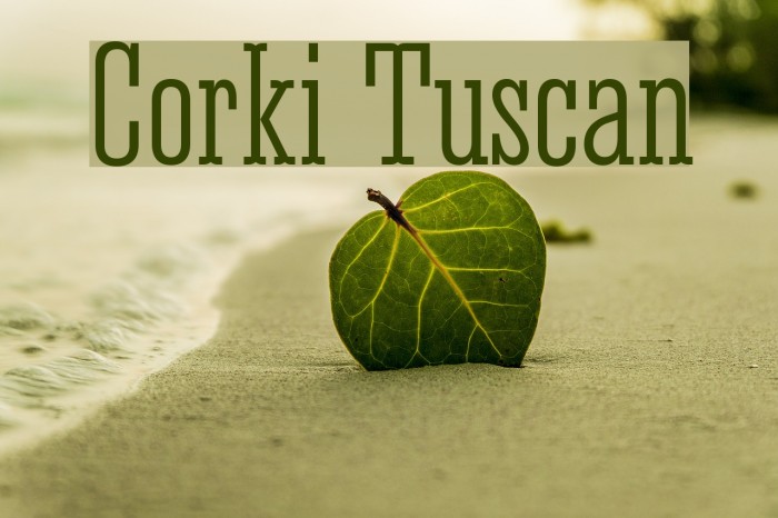 Corki Tuscan Font examples
