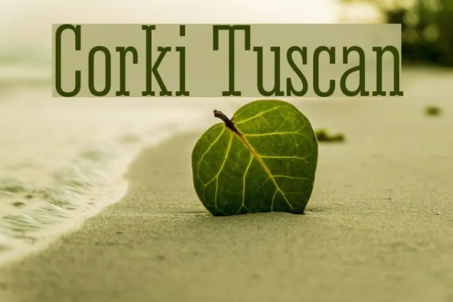 Corki Tuscan Example 2