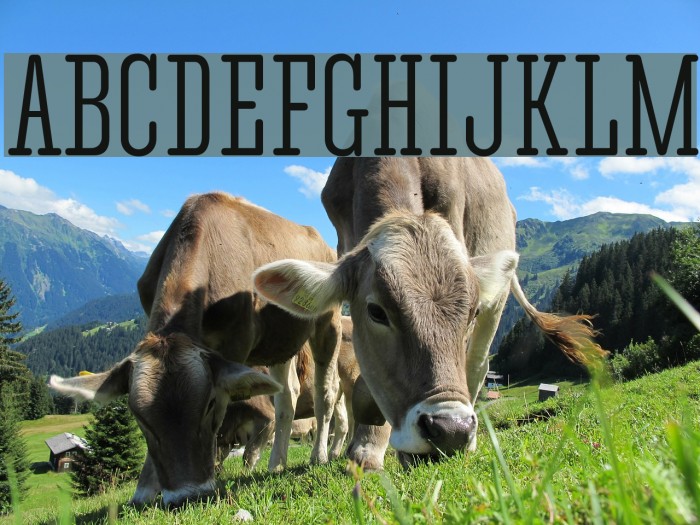 CorkiRounded Font examples