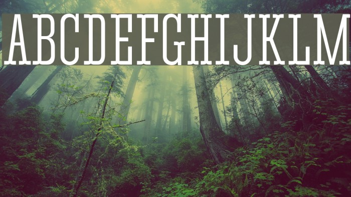 CorkiTuscan Font examples