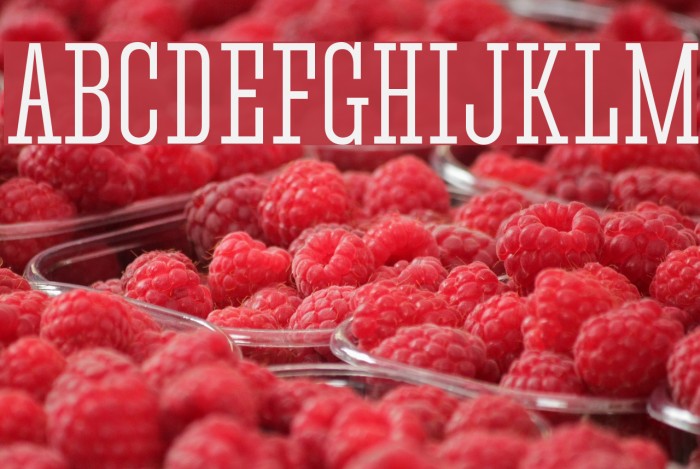 Corki Font examples