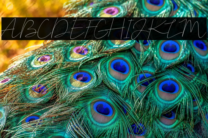 Corleone Demo Example 1