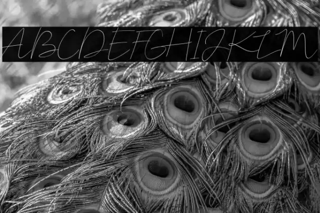 Corleone Demo Font examples