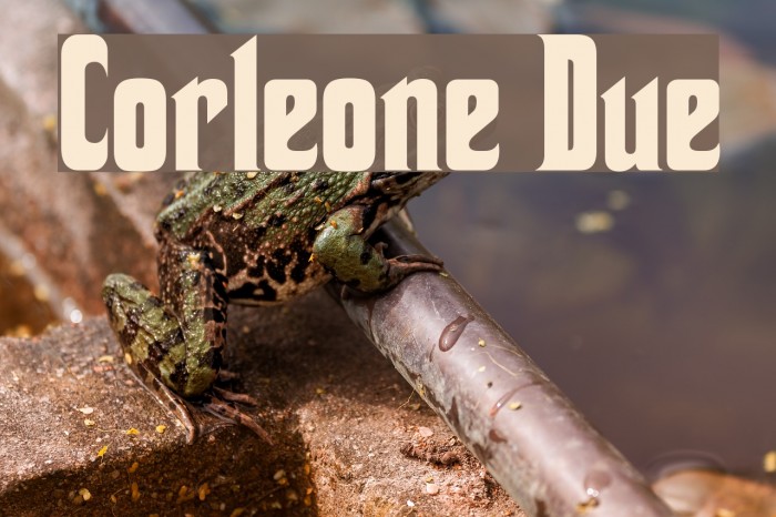Corleone Due フォント examples
