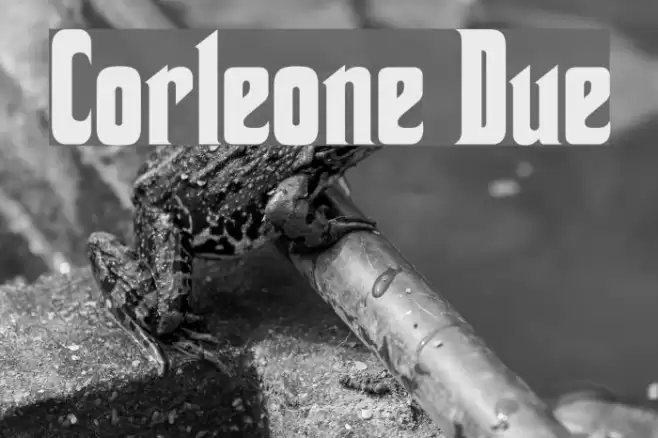 Corleone Due フォント examples